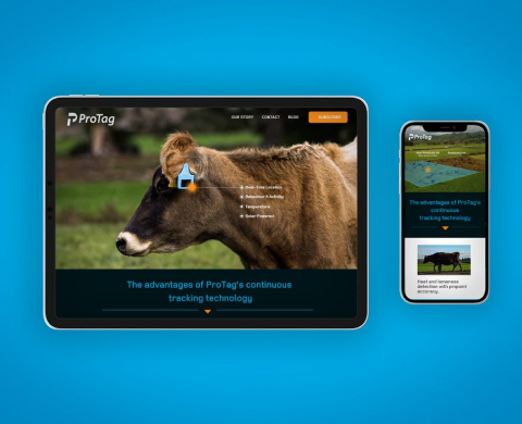 Home page- Thumbnail-ProTag